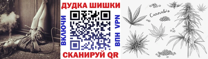 Конопля индика Плёс